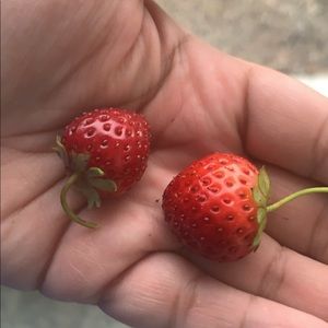 Meet your Posher, Angie